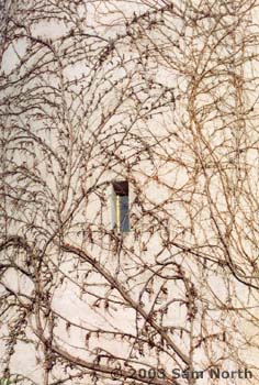 21Window(15x18)