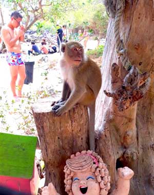 Monkey Beach Nual