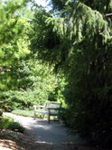 bench