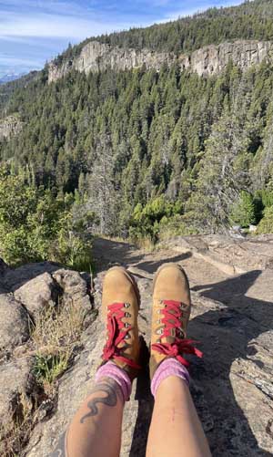 Tabbyat the top
