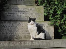 Highgate Cat