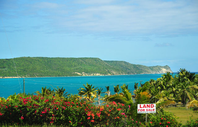 Antigua for sale