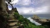 Lobos steps