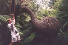 Moa