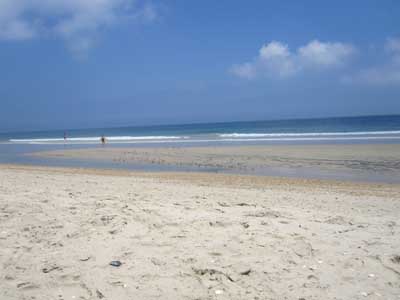 OBX