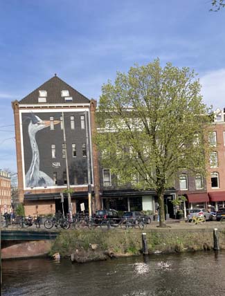 Sir Albert Hotel