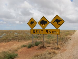 90Km