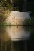 Duckpond