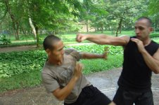 fighter