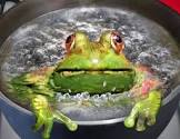 Boiling Frog