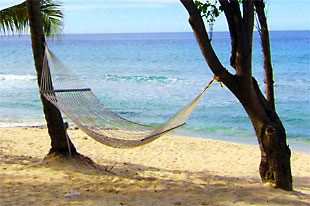 beach hammock