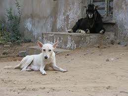 India