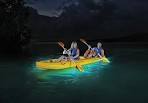 kayak