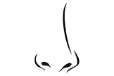 nose