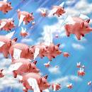 pigs in flight
