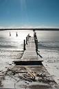 Shelter island