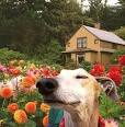Smell the roses